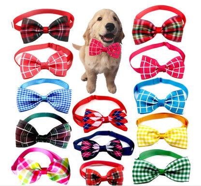 Stylish Bow Tie