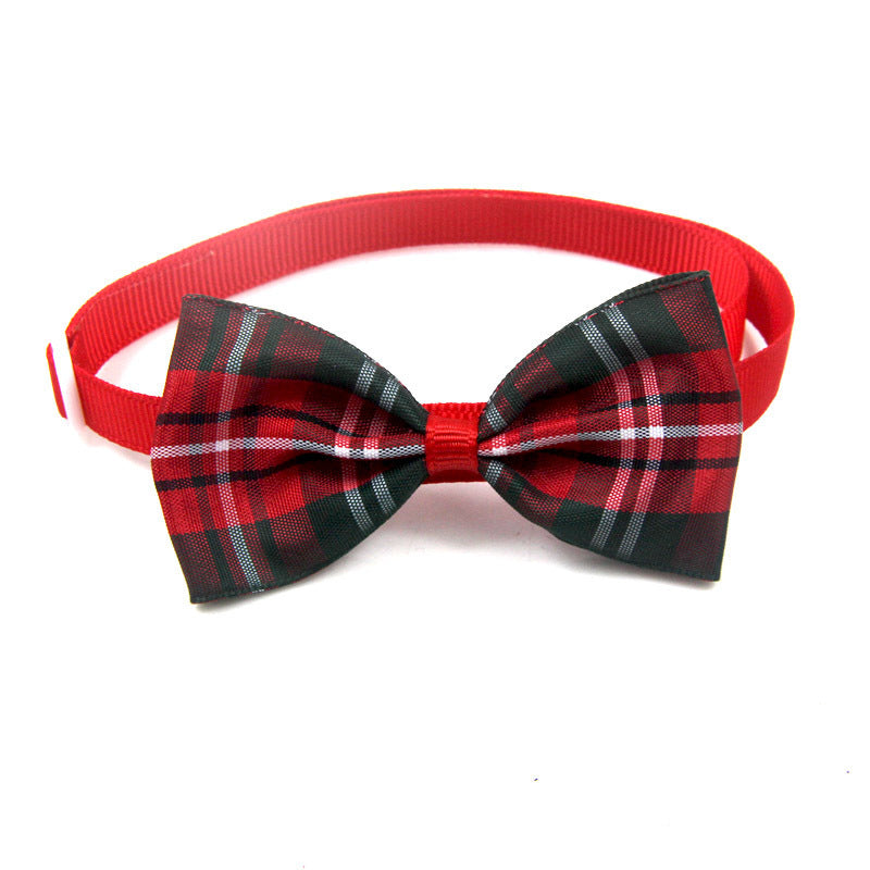 Stylish Bow Tie