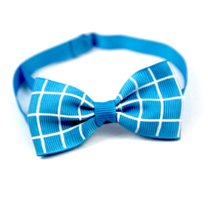 Stylish Bow Tie