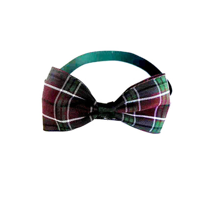 Stylish Bow Tie