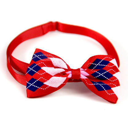Stylish Bow Tie